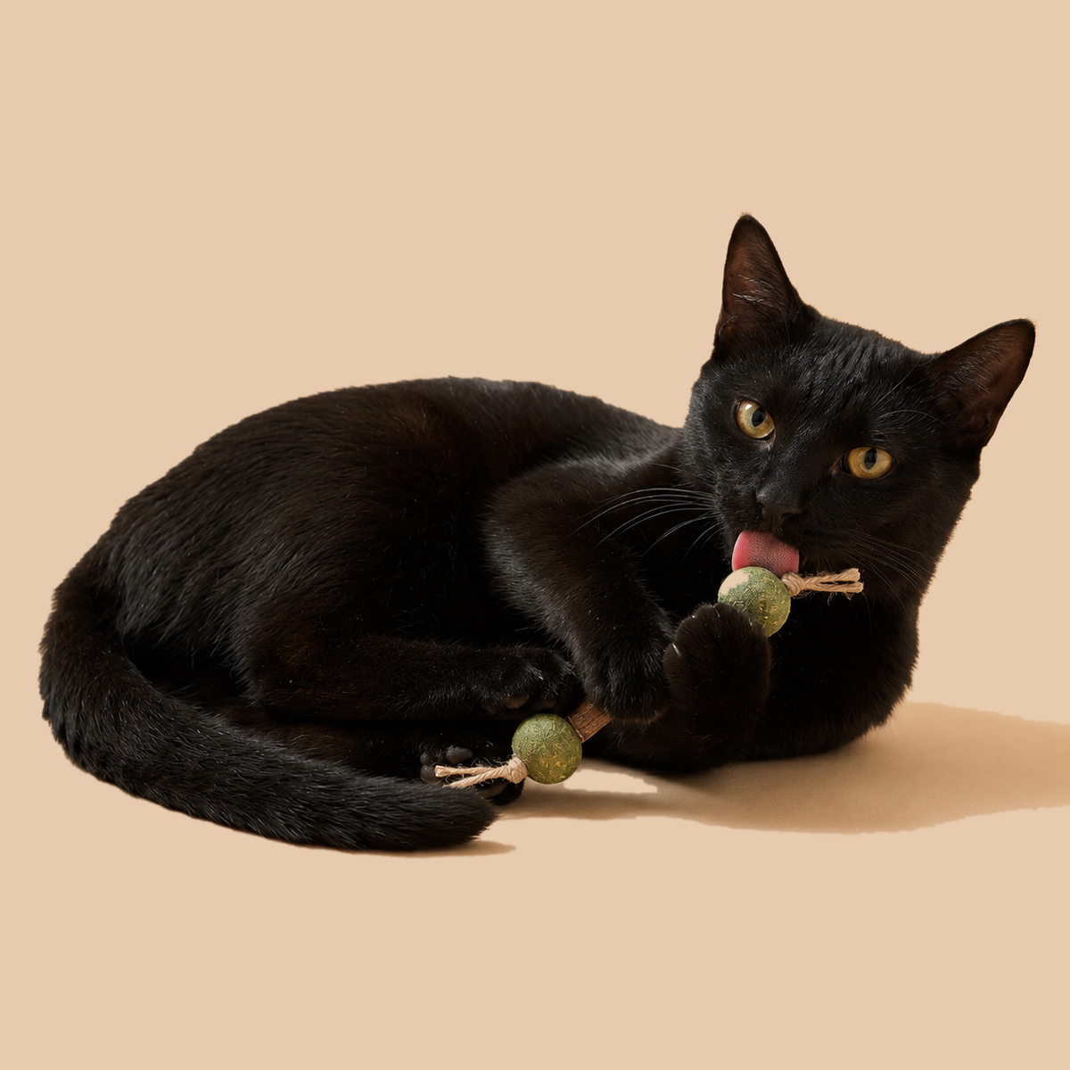 Whisker Valley™ Organic Dental Chews